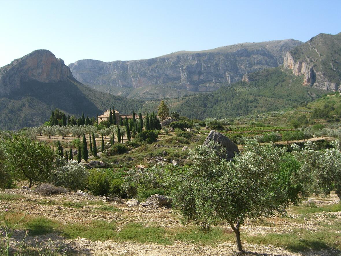 von-der-finca-zur-bodega